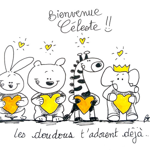 FAIRE-PART DE NAISSANCE CELESTE